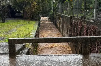 Galeria de Imagem
