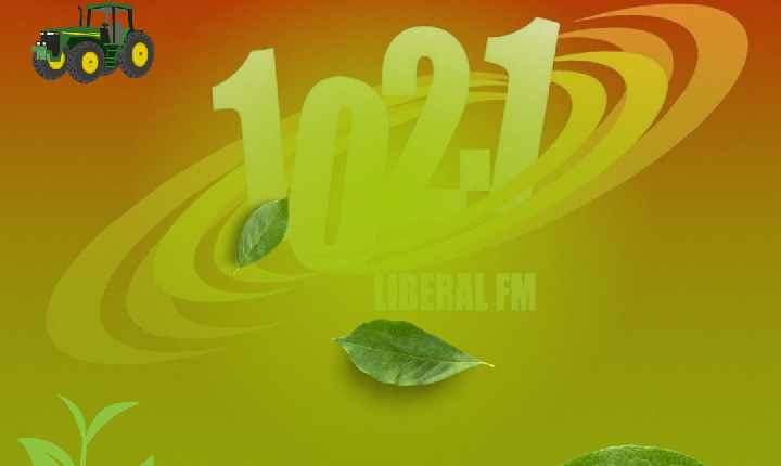 Cotações Agrícolas - 17 de jun