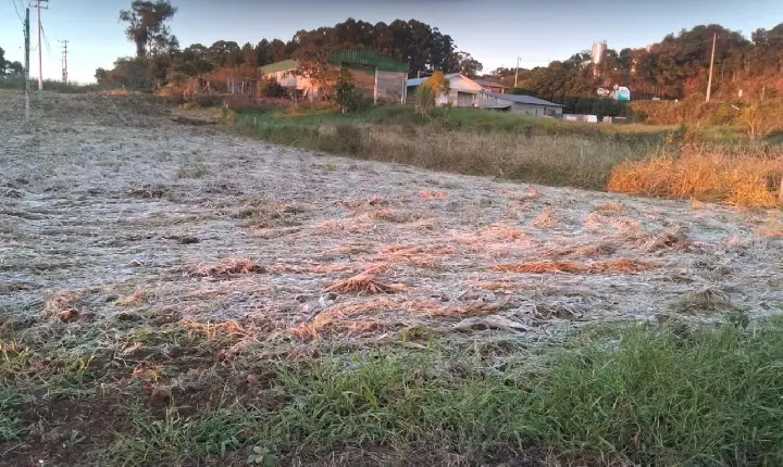 Frio em Guaporé: geada marca o amanhecer na região