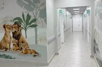 Galeria de Imagem