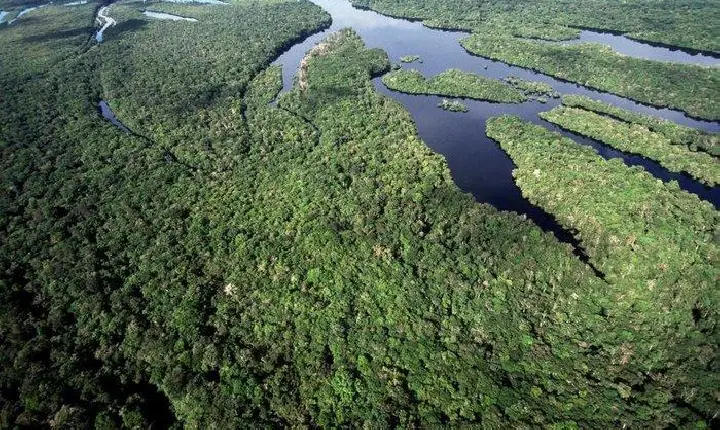 Ministério da Saúde contrata empresa acusada de garimpo ilegal na Amazônia