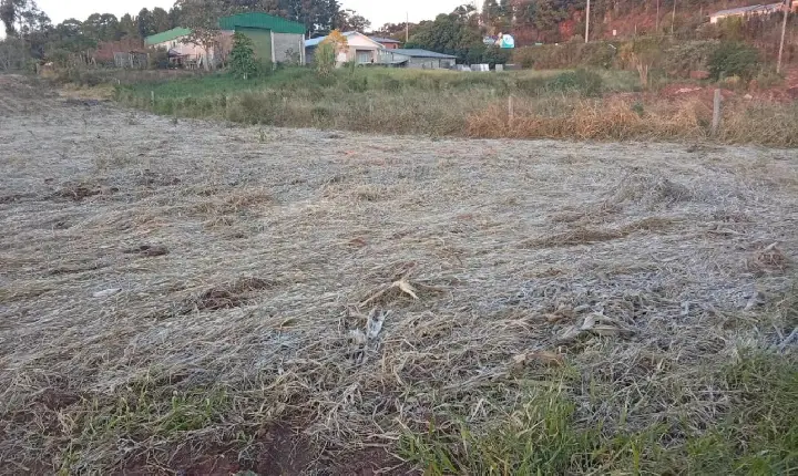 O Outono tem demonstrado que o Inverno pode ser intenso este ano