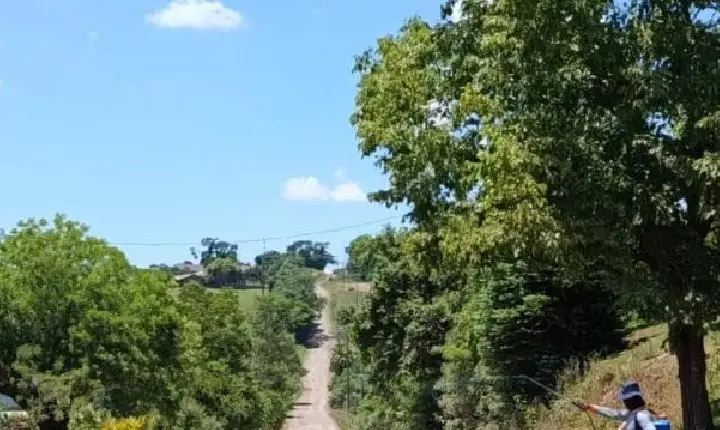 Secretaria de Agricultura analisa possibilidade de implantação de estradas de concreto
