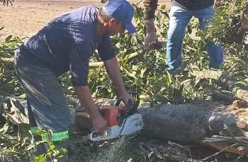 Galeria de Imagem