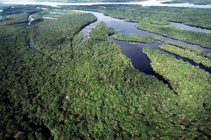 Ministério da Saúde contrata empresa acusada de garimpo ilegal na Amazônia