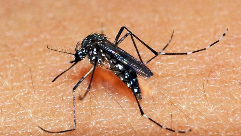 Rio Grande do Sul registra a 17ª morte por dengue em 2024