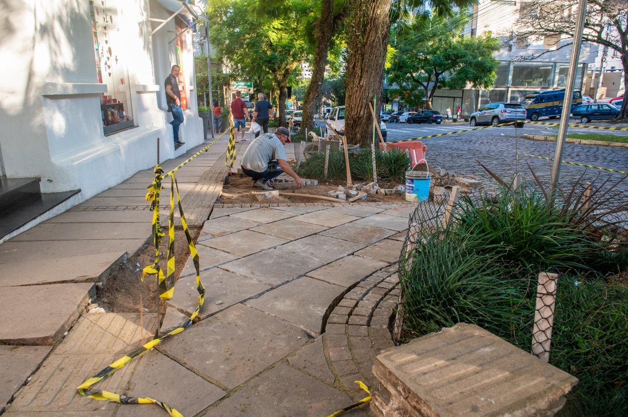 INTERVENÇÕES NA AVENIDA BORGES DE MEDEIROS VISAM PRESERVAR ÁRVORES E MELHORAR PAVIMENTAÇÃO