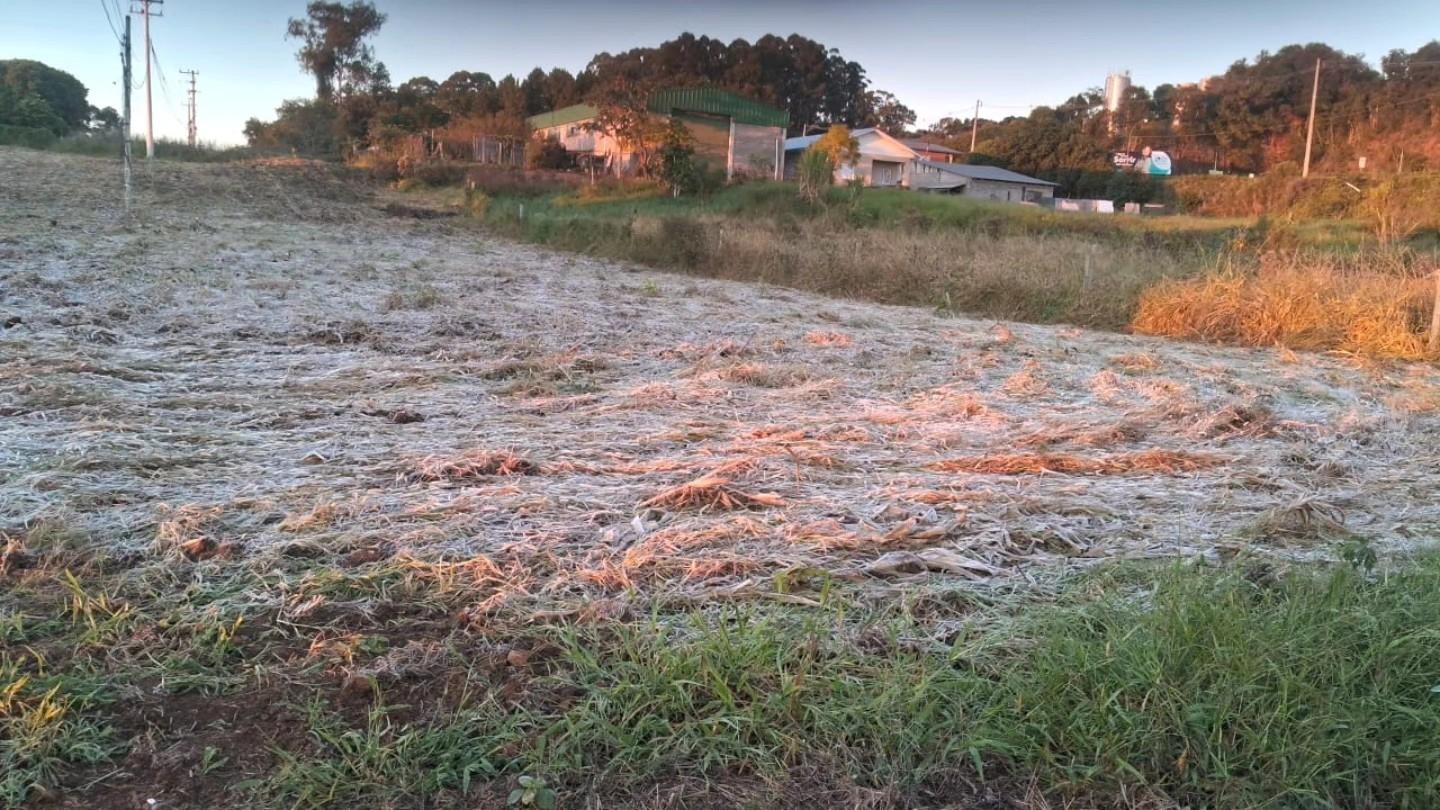 Frio em Guaporé: geada marca o amanhecer na região