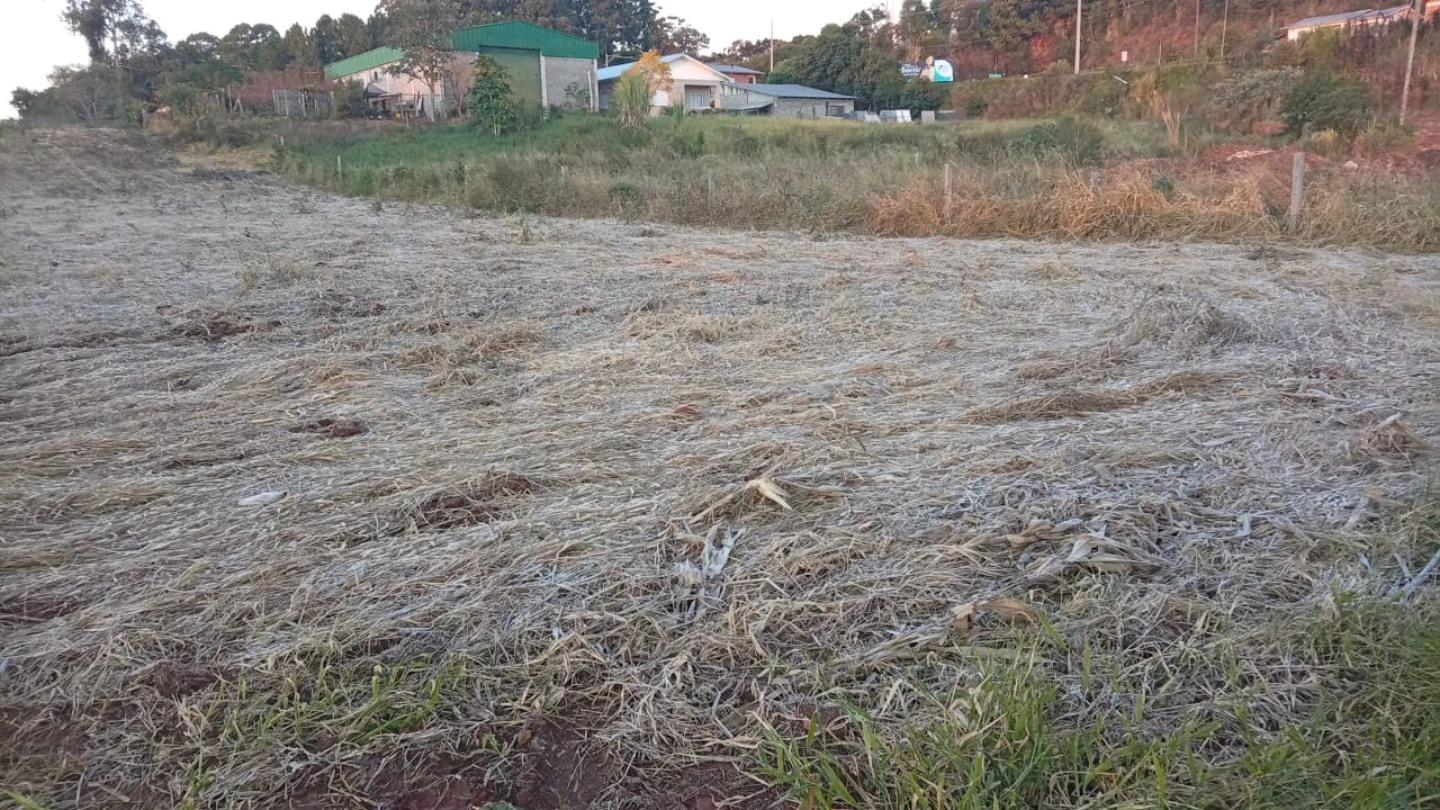 O Outono tem demonstrado que o Inverno pode ser intenso este ano