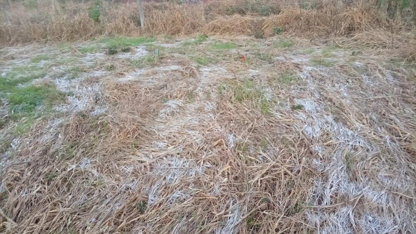 Geada cobre os campos da região e reforça a chegada do inverno gaúcho