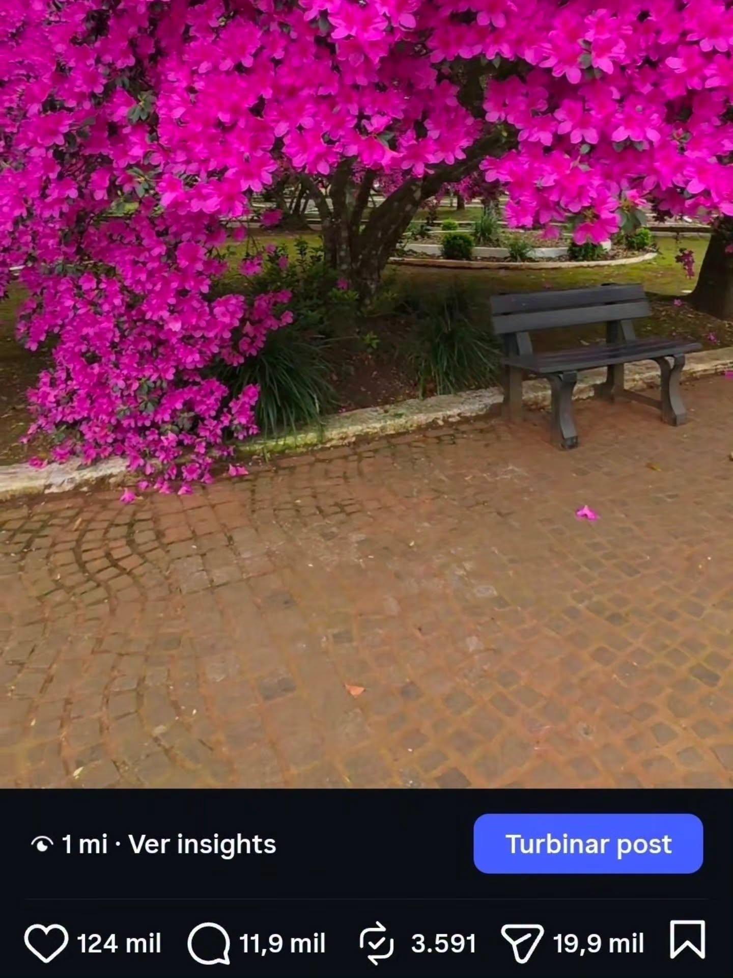 PRA NÃO DIZER QUE NÃO FALEI DAS FLORES...